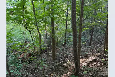 0 Holland Drive #24, Columbus, NC 28722 - Photo 14