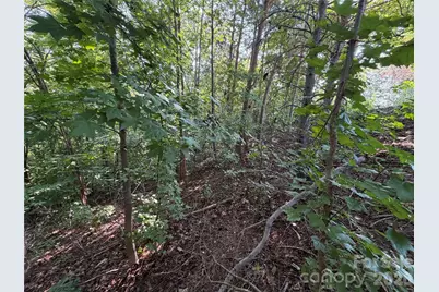 0 Holland Drive #24, Columbus, NC 28722 - Photo 20