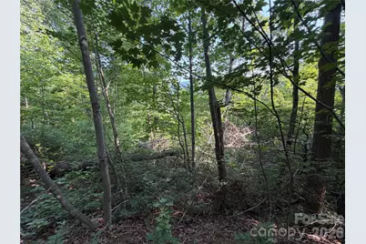 0 Holland Drive #24, Columbus, NC 28722 - Photo 34