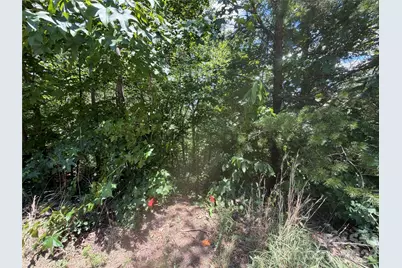 0 Holland Drive #24, Columbus, NC 28722 - Photo 12