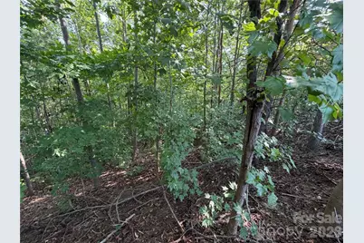 0 Holland Drive #24, Columbus, NC 28722 - Photo 22