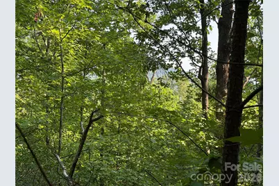 0 Holland Drive #24, Columbus, NC 28722 - Photo 30