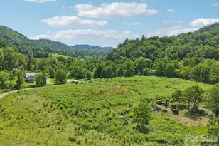 225 Fines Creek Rd, Clyde, NC 28721 - Photo 10