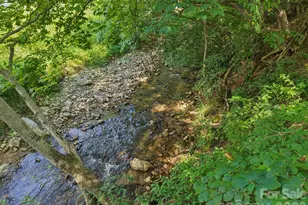 225 Fines Creek Rd, Clyde, NC 28721 - Photo 8
