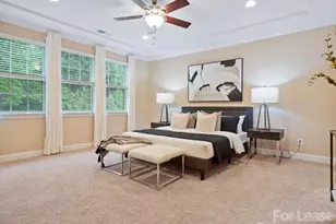 1719 Sutter Creek Dr, Waxhaw, NC 28173 - Photo 12
