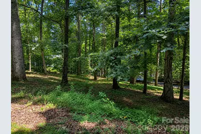 51 Sleepy Forest Drive, Leicester, NC 28748 - Photo 48
