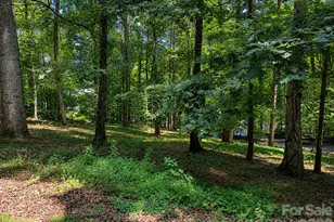 51 Sleepy Forest Dr, Leicester, NC 28748 - Photo 48