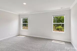 9049 Foggy Brook Loop, Charlotte, NC 28216 - Photo 10