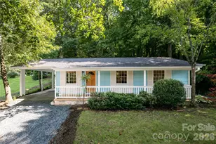 246 N Fork Rd, Black Mountain, NC 28711 - Photo 2