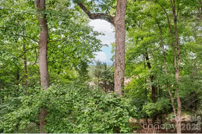 232 Ladson Spring Trail, Mills River, NC 28759 - Photo 34