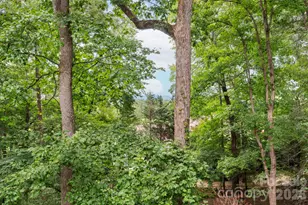 232 Ladson Spring Trail, Mills River, NC 28759 - Photo 34