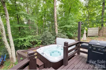 232 Ladson Spring Trail, Mills River, NC 28759 - Photo 16