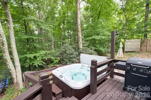 232 Ladson Spring Trail, Mills River, NC 28759 - Photo 16