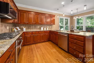 12818 Darby Chase Drive, Charlotte, NC 28277 - Photo 16