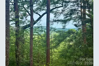 V/L Tahawus Drive #92, Bostic, NC 28018 - Photo 1