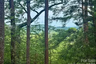 V/L Tahawus Dr, Bostic, NC 28018 - Photo 1