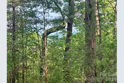 V/L Tahawus Drive #92, Bostic, NC 28018 - Photo 10
