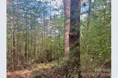 V/L Tahawus Drive #92, Bostic, NC 28018 - Photo 6