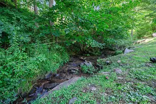 503 White Pine Ln, Bakersville, NC 28705 - Photo 34