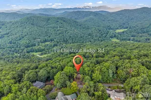 10 Chestnut Ridge Rd, Mills River, NC 28759 - Photo 46