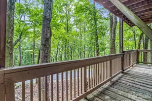 10 Chestnut Ridge Rd, Mills River, NC 28759 - Photo 40