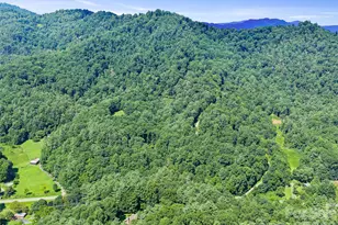 3301 State Hwy 197 None N, Burnsville, NC 28714 - Photo 26