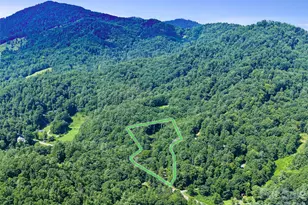 3301 State Hwy 197 None N, Burnsville, NC 28714 - Photo 24