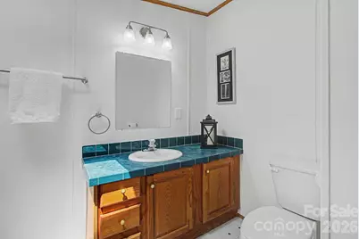 204 Red Birch Court, Hendersonville, NC 28739 - Photo 20