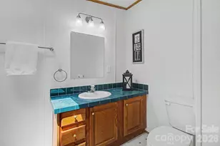 204 Red Birch Ct, Hendersonville, NC 28739 - Photo 20