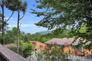 119 Beechwood Ln, Beech Mountain, NC 28604 - Photo 1
