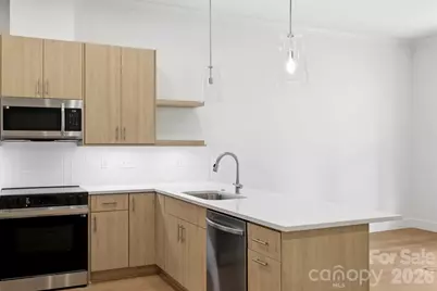 126 Collin Place #36, Asheville, NC 28804 - Photo 4