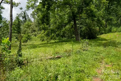 278 Shope Creek Road, Asheville, NC 28805 - Photo 26