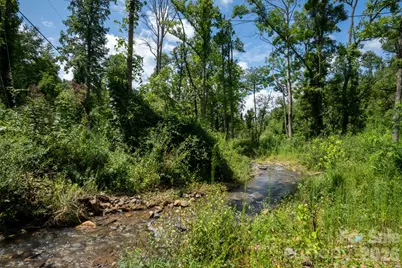 278 Shope Creek Road, Asheville, NC 28805 - Photo 24