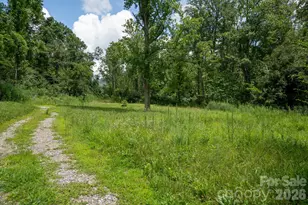 278 Shope Crk Rd, Asheville, NC 28805 - Photo 1