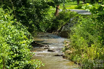 278 Shope Creek Road, Asheville, NC 28805 - Photo 4