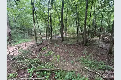 V/L Lotus Drive #14, Nebo, NC 28761 - Photo 20