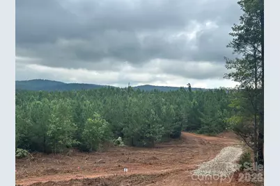 V/L Lotus Drive #14, Nebo, NC 28761 - Photo 4