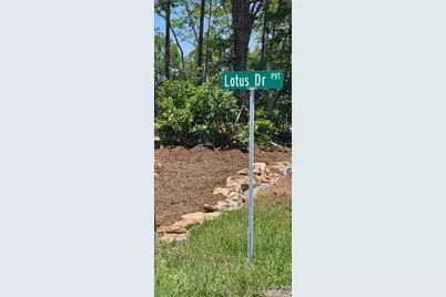 V/L Lotus Drive #14, Nebo, NC 28761 - Photo 2