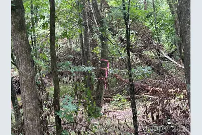 V/L Lotus Drive #14, Nebo, NC 28761 - Photo 24