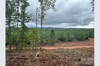 V/L Lotus Drive #14, Nebo, NC 28761 - Photo 8