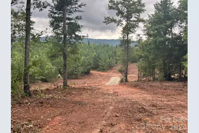 V/L Lotus Drive #14, Nebo, NC 28761 - Photo 12