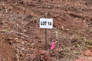 V/L Lotus Dr, Nebo, NC 28761 - Photo 1