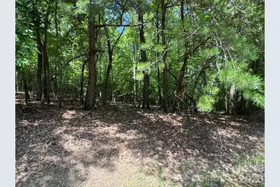 0 Cottonstone Lane, Troy, NC 27371 - Photo 4