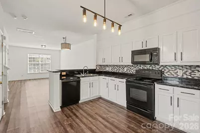 4759 Stoney Branch Drive, Charlotte, NC 28216 - Photo 4