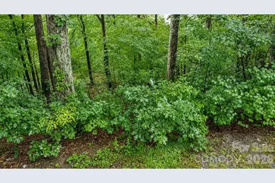 #46 Hemlock Trail, Columbus, NC 28722 - Photo 2