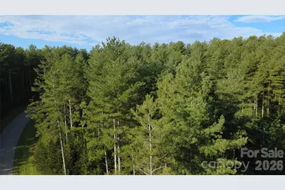 Tbd Peninsula Reserve Drive #27, Nebo, NC 28761 - Photo 8