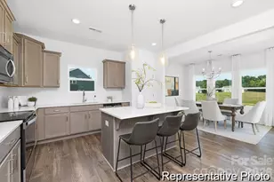 Tbd Jubilee Way, Pageland, SC 29728 - Photo 2