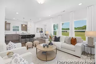 Tbd Jubilee Way, Pageland, SC 29728 - Photo 10