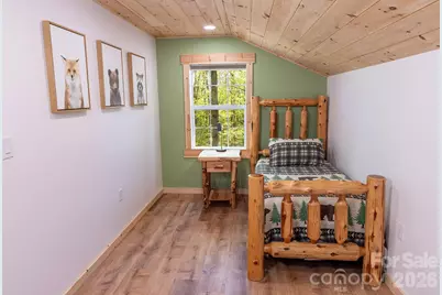 95 Lasso Lane, Waynesville, NC 28785 - Photo 16