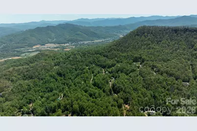 95 Lasso Lane, Waynesville, NC 28785 - Photo 40